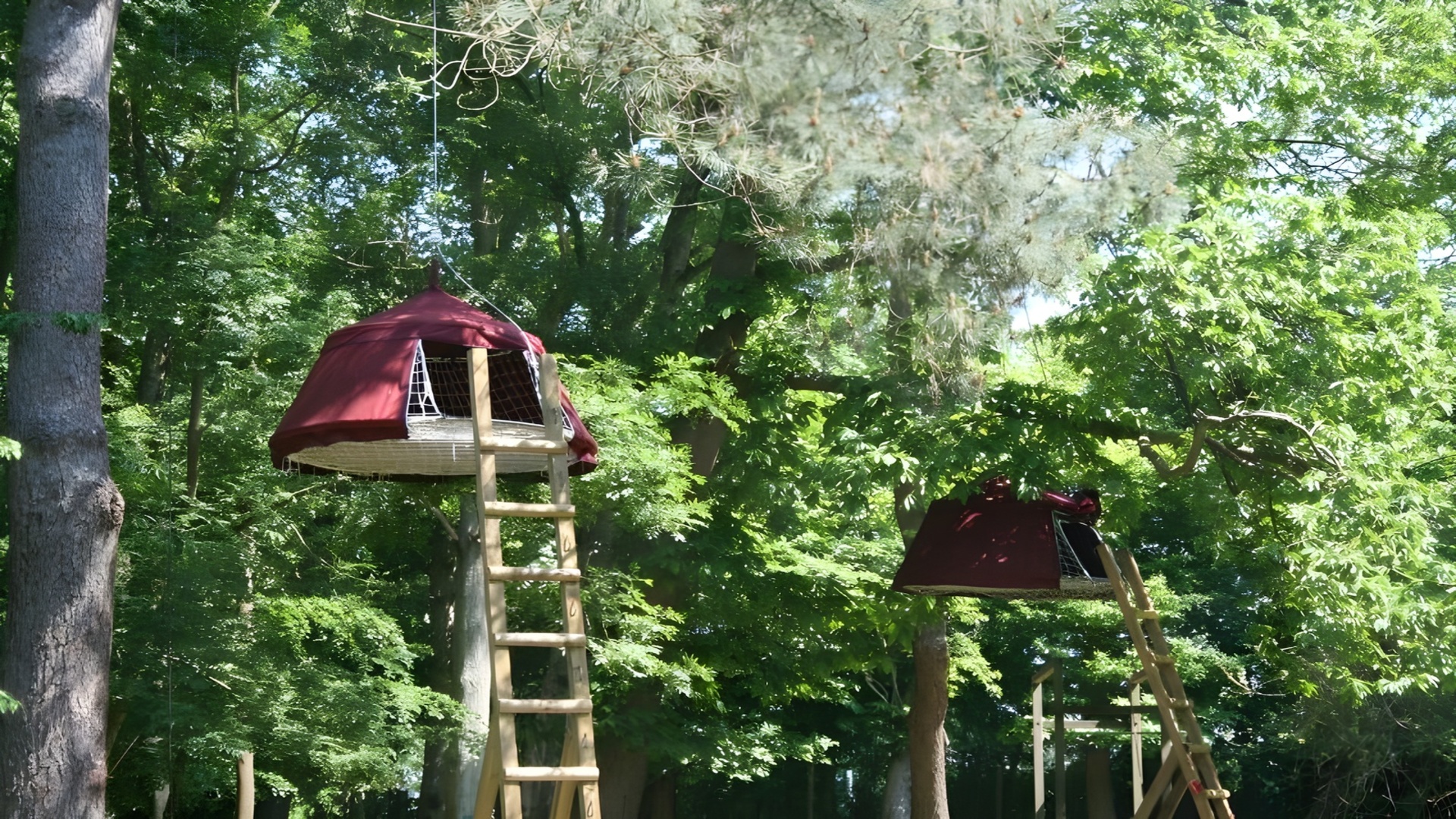 Visites - Woody Park - Fécamp